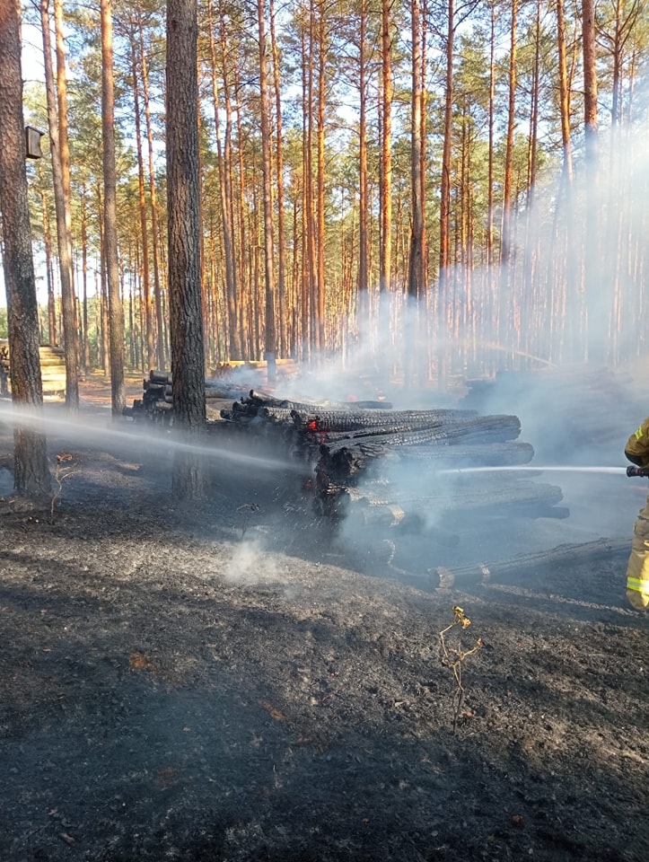 Dromader w akcji! Pożar lasu w Wachu [27.09.2024] - zdjęcie #9 - eOstroleka.pl