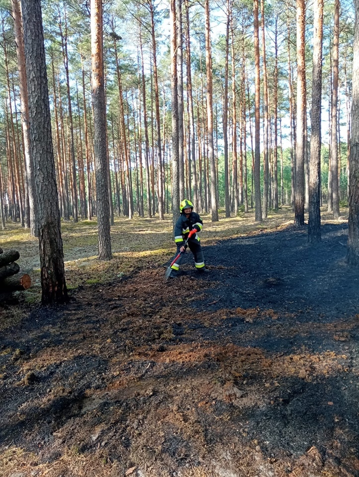 Dromader w akcji! Pożar lasu w Wachu [27.09.2024] - zdjęcie #7 - eOstroleka.pl