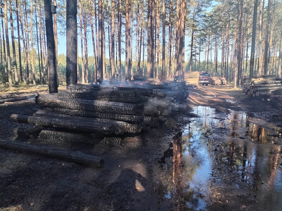 Dromader w akcji! Pożar lasu w Wachu [27.09.2024] - zdjęcie #6 - eOstroleka.pl