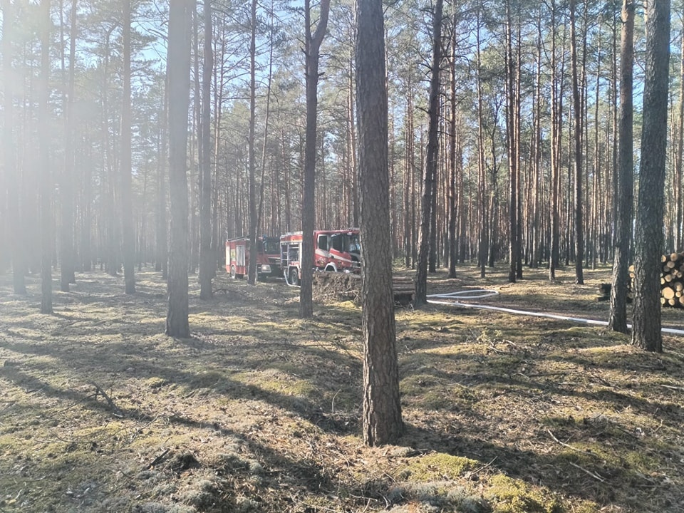 Dromader w akcji! Pożar lasu w Wachu [27.09.2024] - zdjęcie #4 - eOstroleka.pl