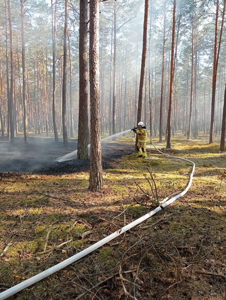 Dromader w akcji! Pożar lasu w Wachu [27.09.2024] - zdjęcie #3 - eOstroleka.pl