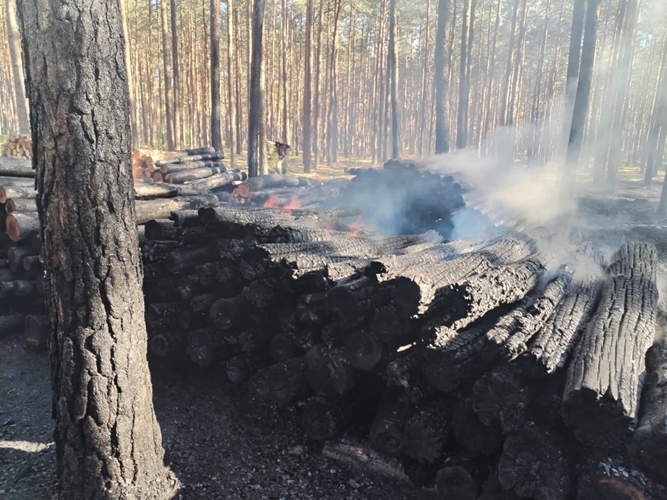 Dromader w akcji! Pożar lasu w Wachu [27.09.2024] - zdjęcie #2 - eOstroleka.pl
