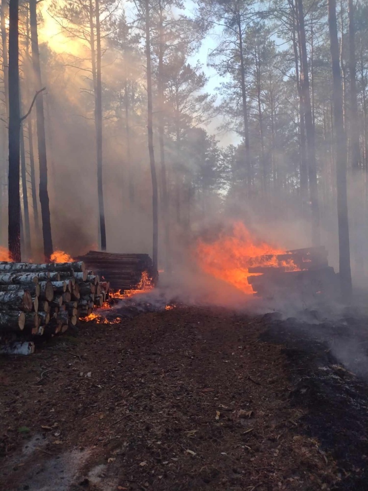 Dromader w akcji! Pożar lasu w Wachu [27.09.2024] - zdjęcie #1 - eOstroleka.pl