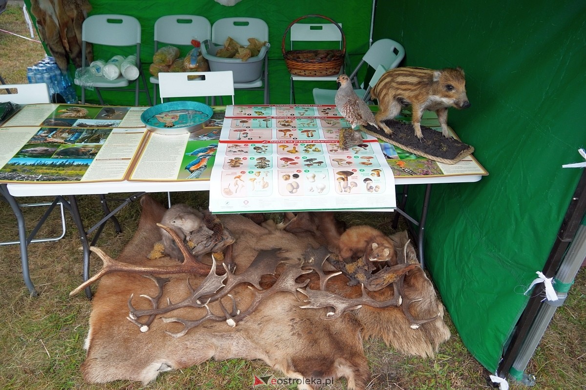 Dożynki w Olszewie Borkach [31.08.2024] - zdjęcie #321 - eOstroleka.pl