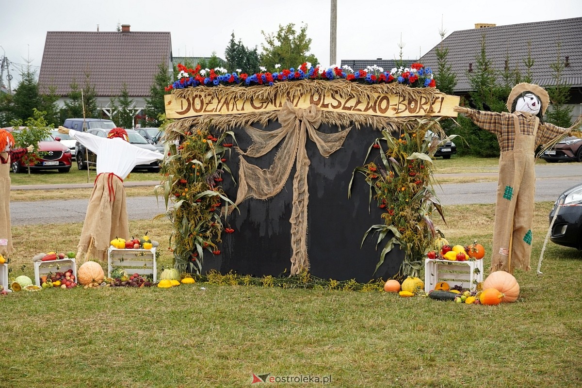 Dożynki w Olszewie Borkach [31.08.2024] - zdjęcie #319 - eOstroleka.pl