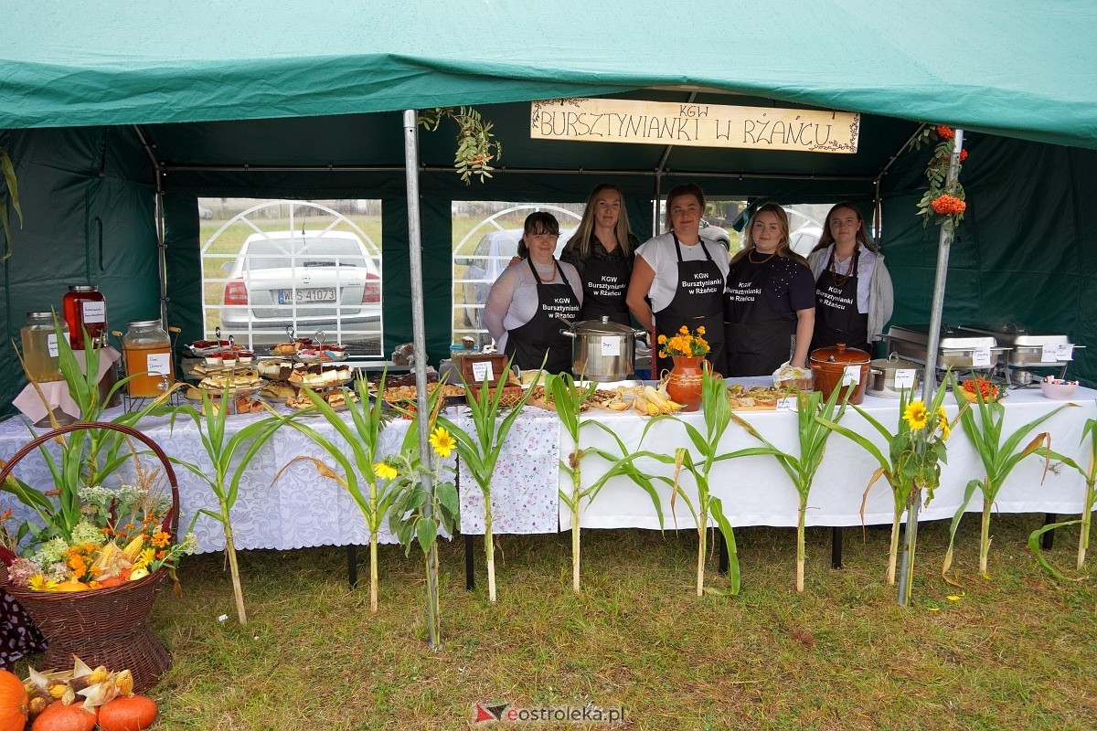 Dożynki w Olszewie Borkach [31.08.2024] - zdjęcie #308 - eOstroleka.pl