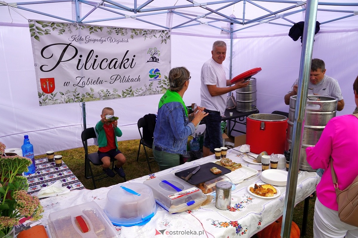 Dożynki w Olszewie Borkach [31.08.2024] - zdjęcie #29 - eOstroleka.pl