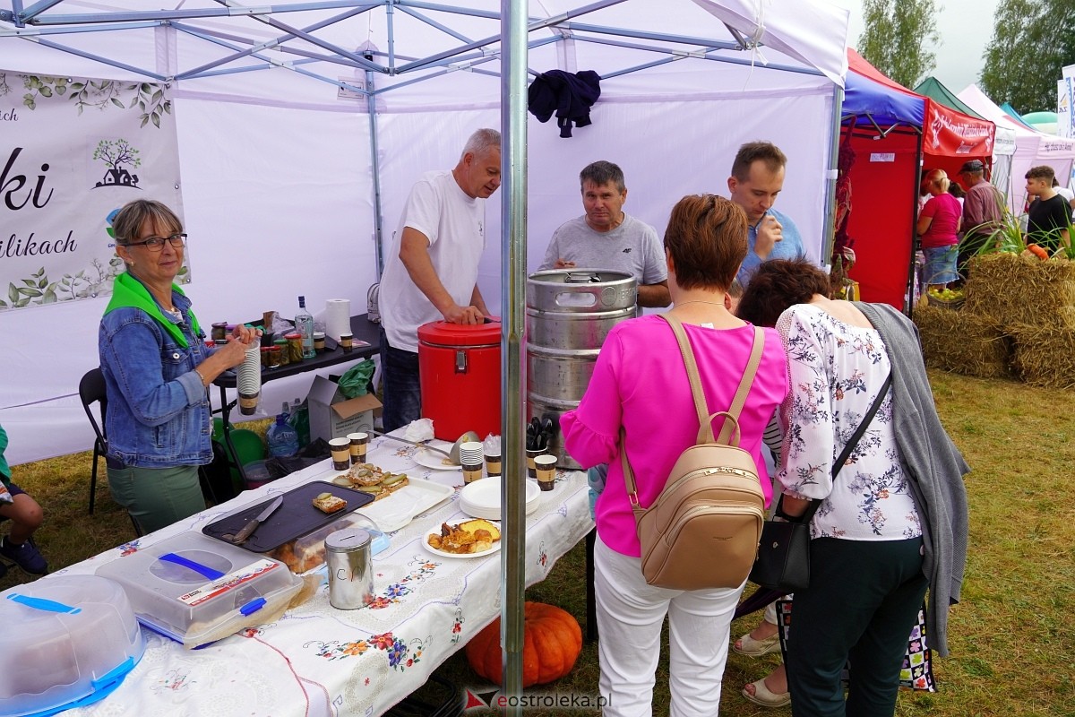 Dożynki w Olszewie Borkach [31.08.2024] - zdjęcie #28 - eOstroleka.pl