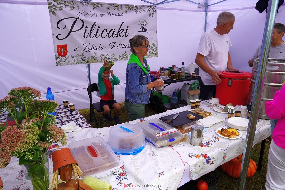 Dożynki w Olszewie Borkach [31.08.2024] - zdjęcie #27 - eOstroleka.pl