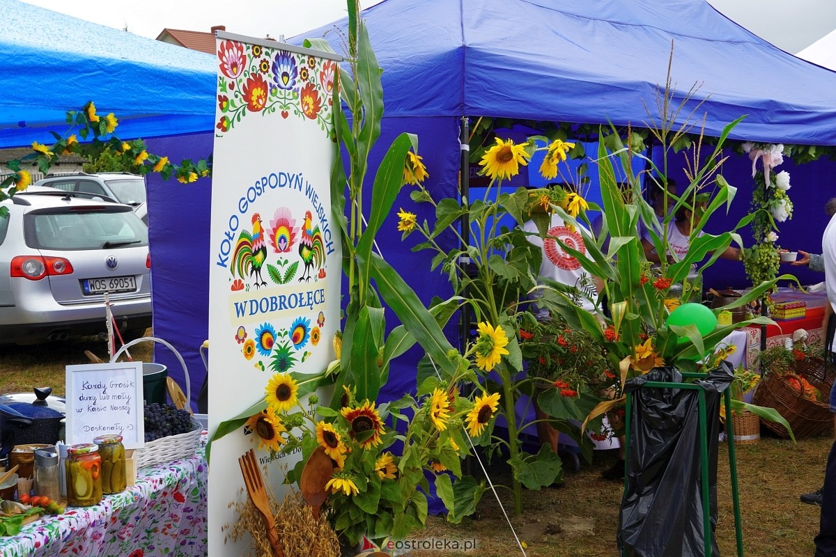 Dożynki w Olszewie Borkach [31.08.2024] - zdjęcie #23 - eOstroleka.pl