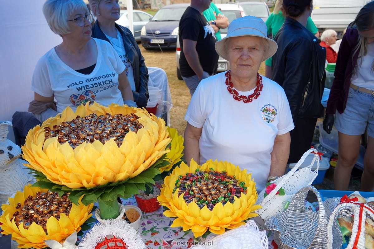 Dożynki w Olszewie Borkach [31.08.2024] - zdjęcie #19 - eOstroleka.pl