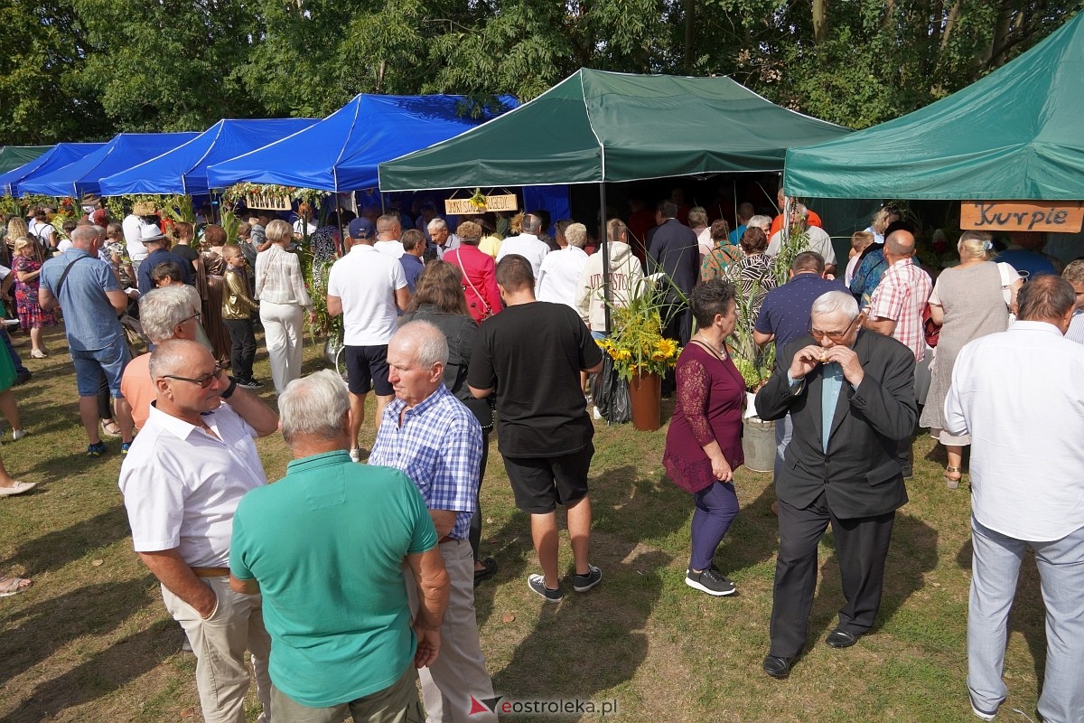 XII Zajazd Szlachecki w Troszynie [1.09.2024] - zdjęcie #32 - eOstroleka.pl