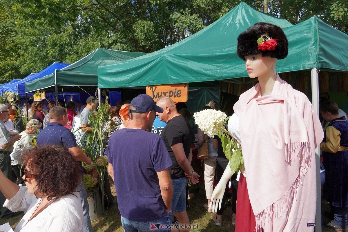 XII Zajazd Szlachecki w Troszynie [1.09.2024] - zdjęcie #27 - eOstroleka.pl