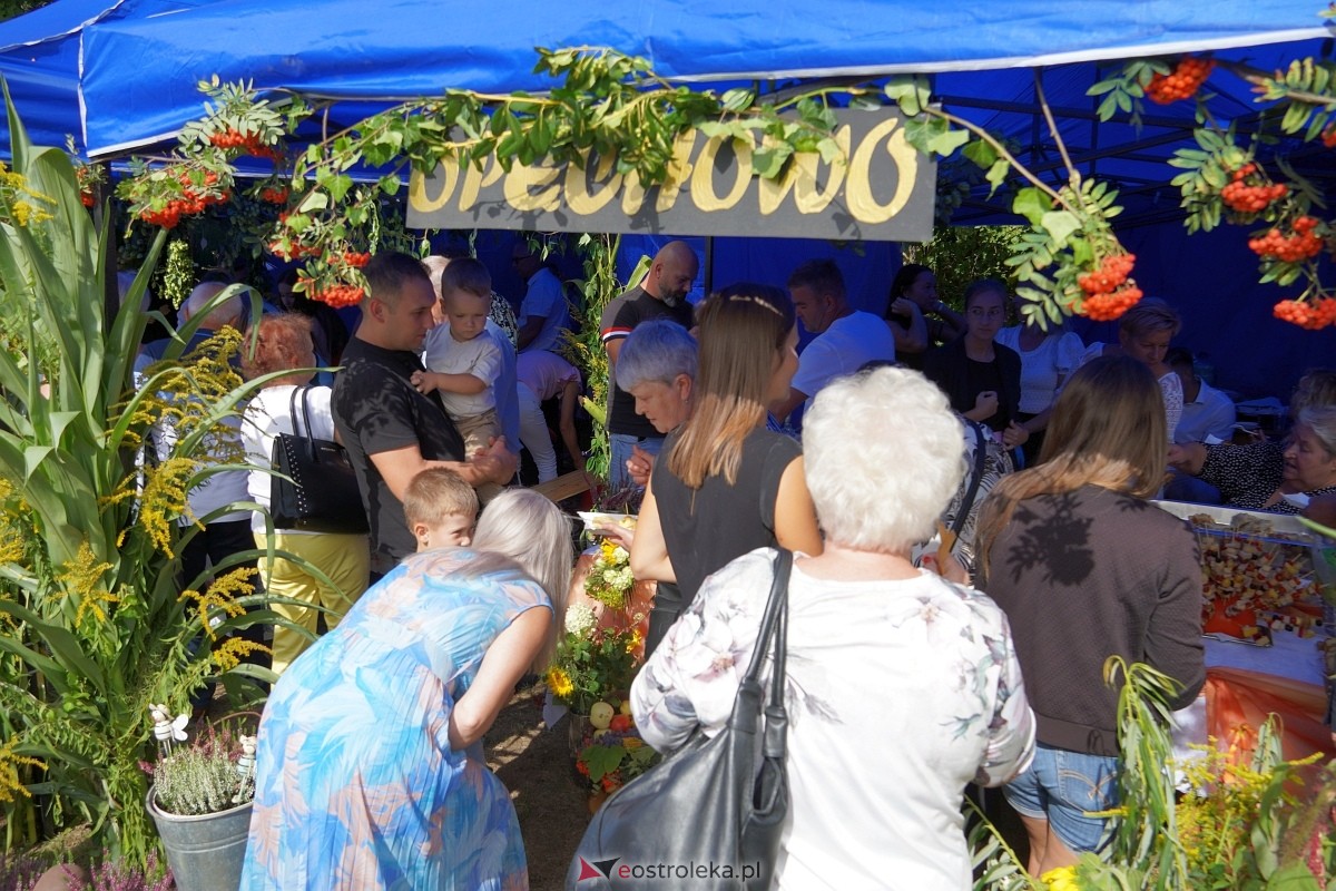 XII Zajazd Szlachecki w Troszynie [1.09.2024] - zdjęcie #21 - eOstroleka.pl