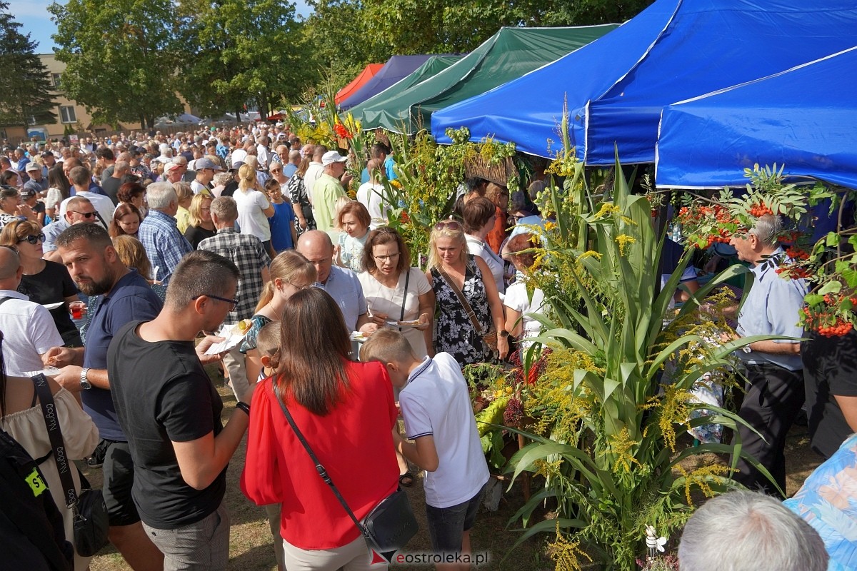 XII Zajazd Szlachecki w Troszynie [1.09.2024] - zdjęcie #20 - eOstroleka.pl