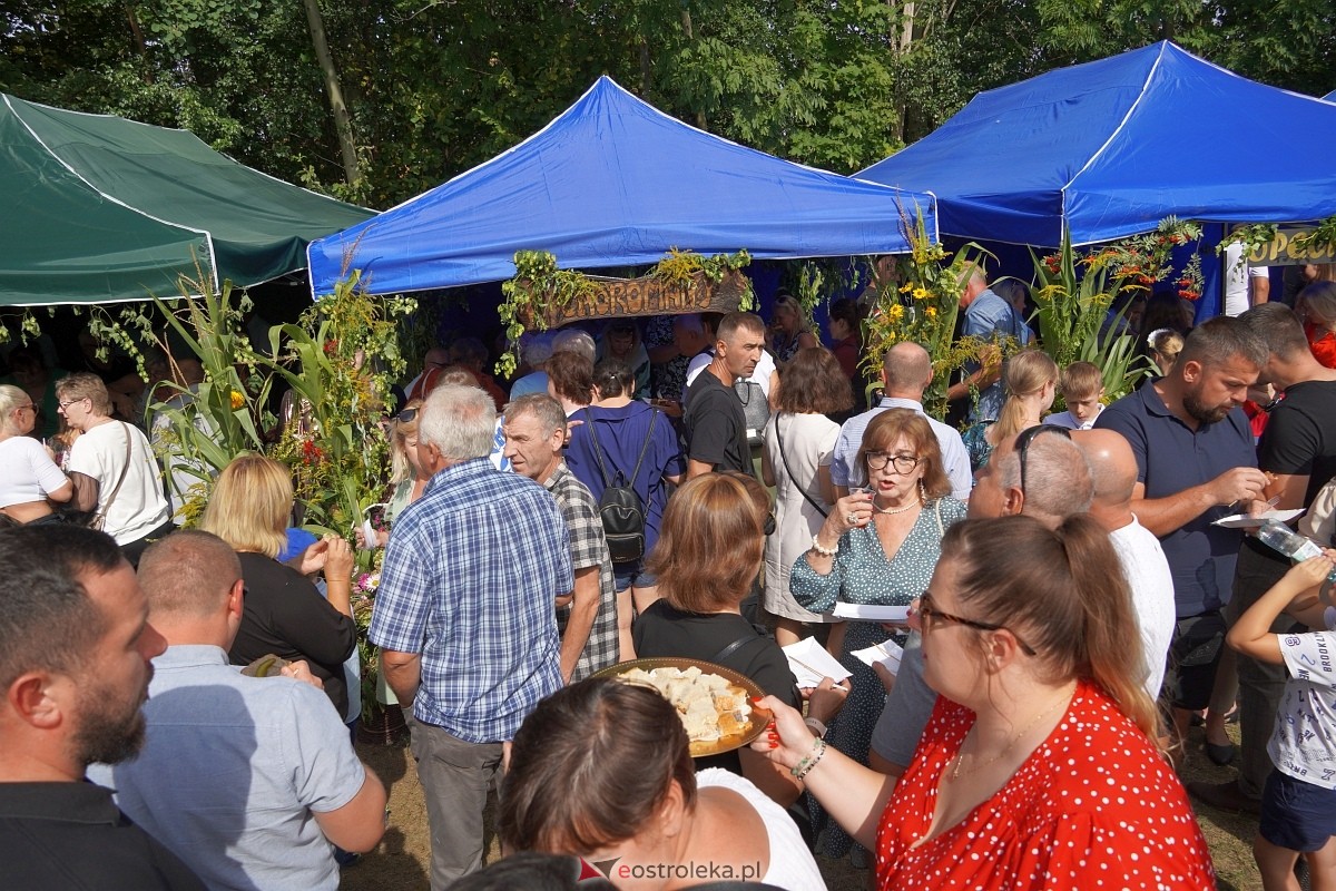 XII Zajazd Szlachecki w Troszynie [1.09.2024] - zdjęcie #18 - eOstroleka.pl