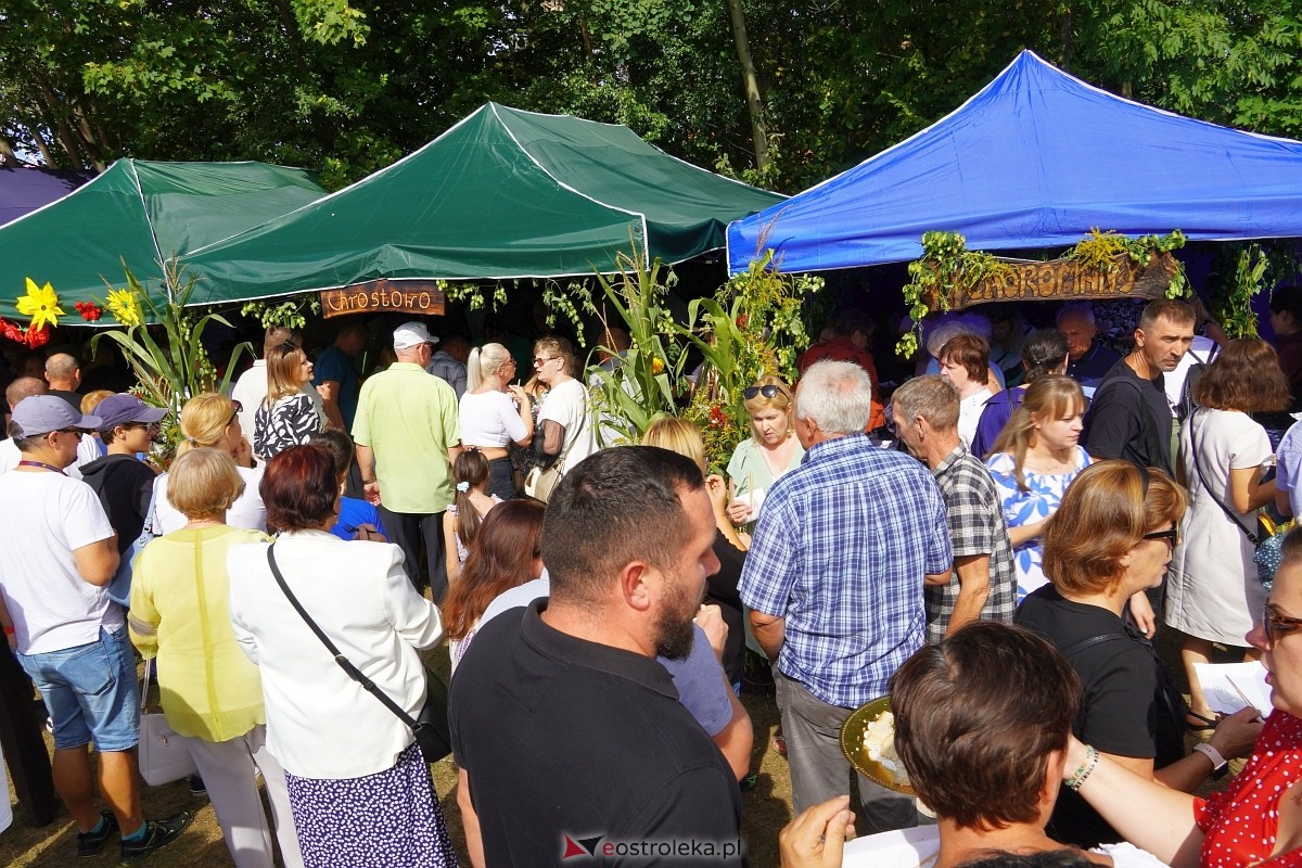 XII Zajazd Szlachecki w Troszynie [1.09.2024] - zdjęcie #17 - eOstroleka.pl