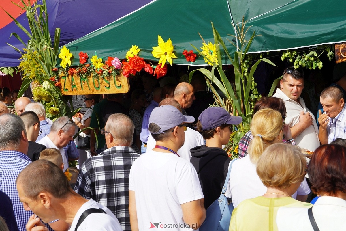 XII Zajazd Szlachecki w Troszynie [1.09.2024] - zdjęcie #14 - eOstroleka.pl