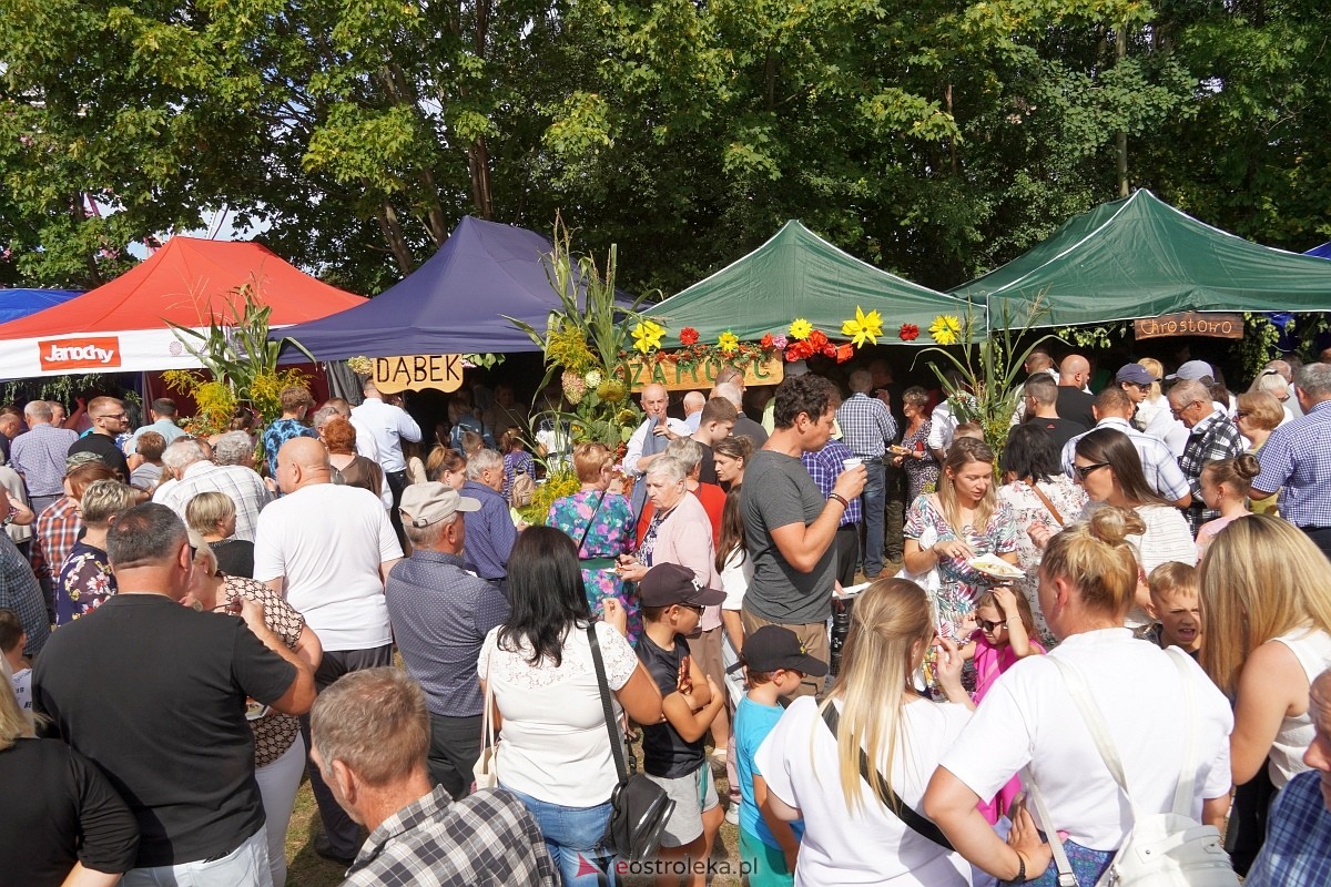 XII Zajazd Szlachecki w Troszynie [1.09.2024] - zdjęcie #8 - eOstroleka.pl