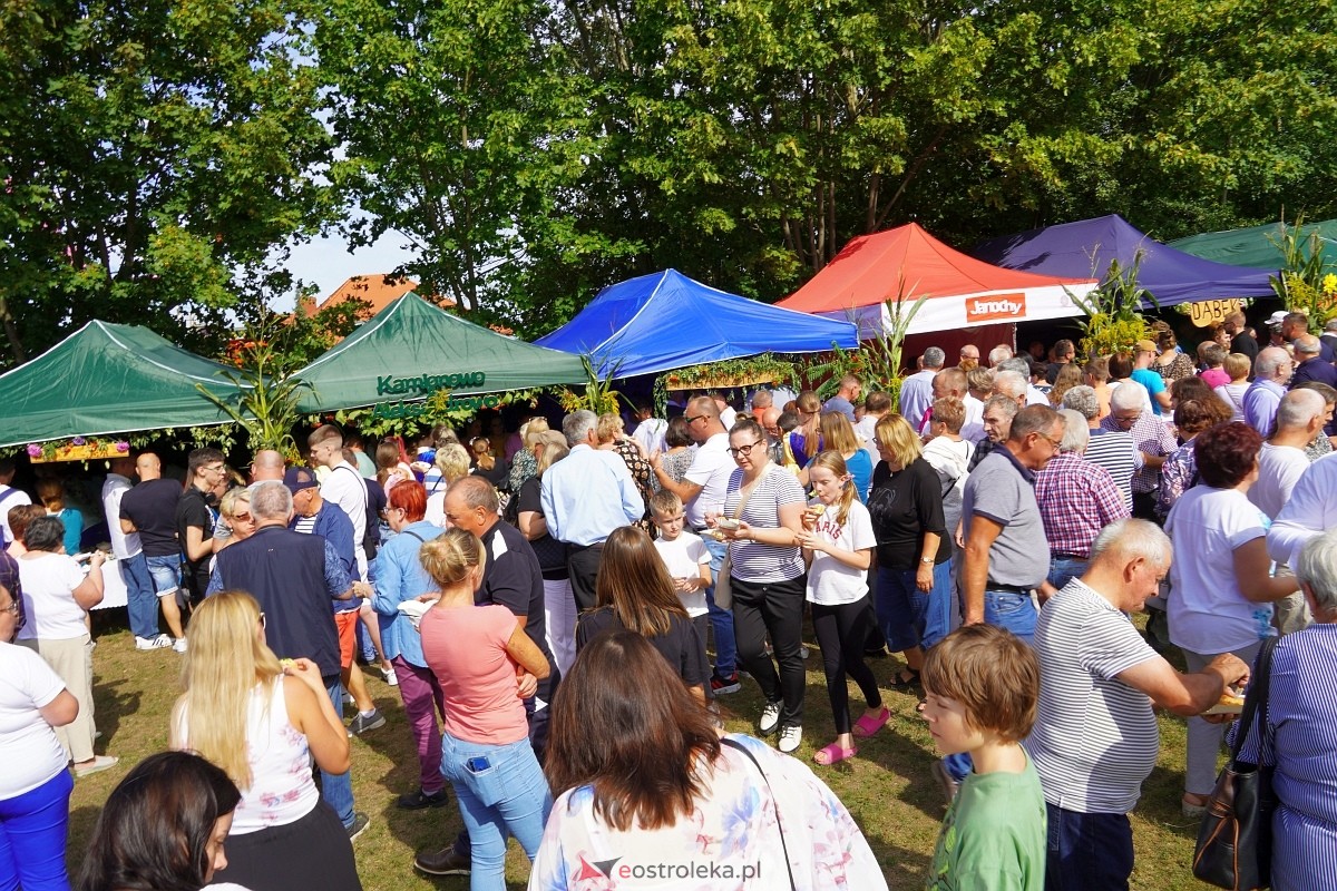 XII Zajazd Szlachecki w Troszynie [1.09.2024] - zdjęcie #4 - eOstroleka.pl