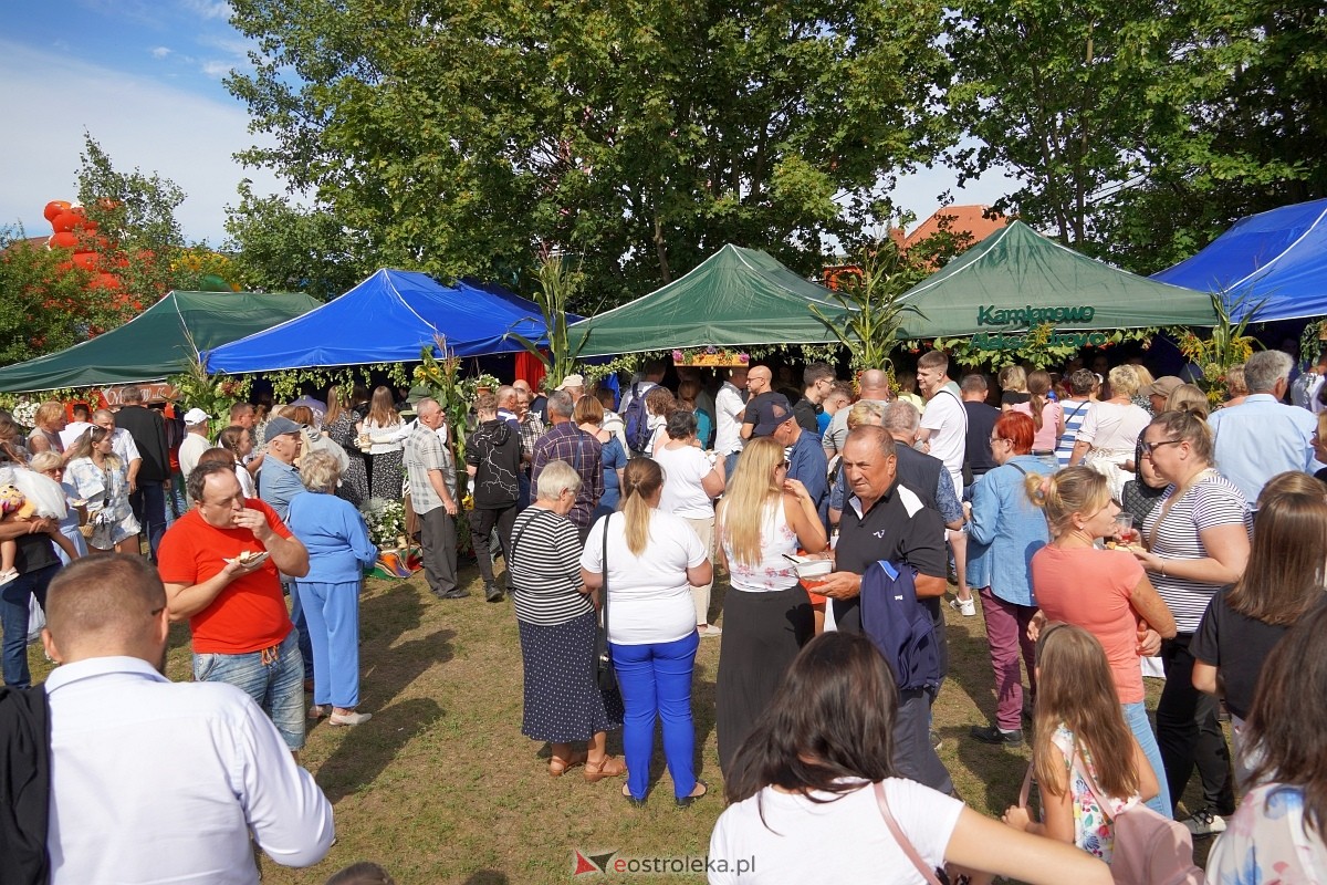 XII Zajazd Szlachecki w Troszynie [1.09.2024] - zdjęcie #2 - eOstroleka.pl