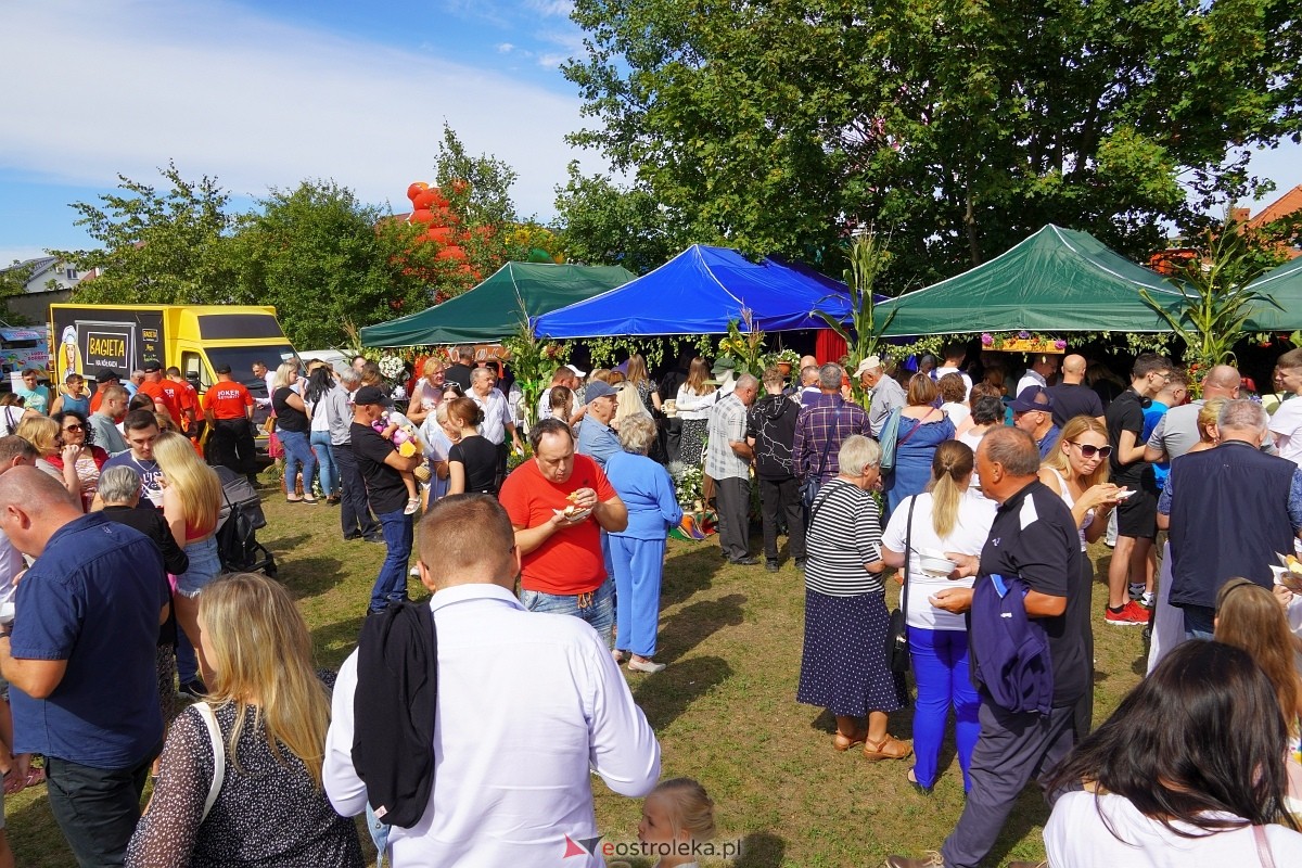 XII Zajazd Szlachecki w Troszynie [1.09.2024] - zdjęcie #1 - eOstroleka.pl