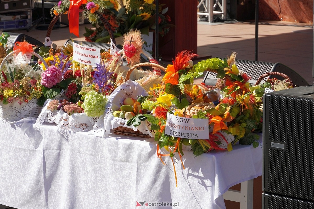 Dożynki w Baranowie [08.09.2024] - zdjęcie #213 - eOstroleka.pl