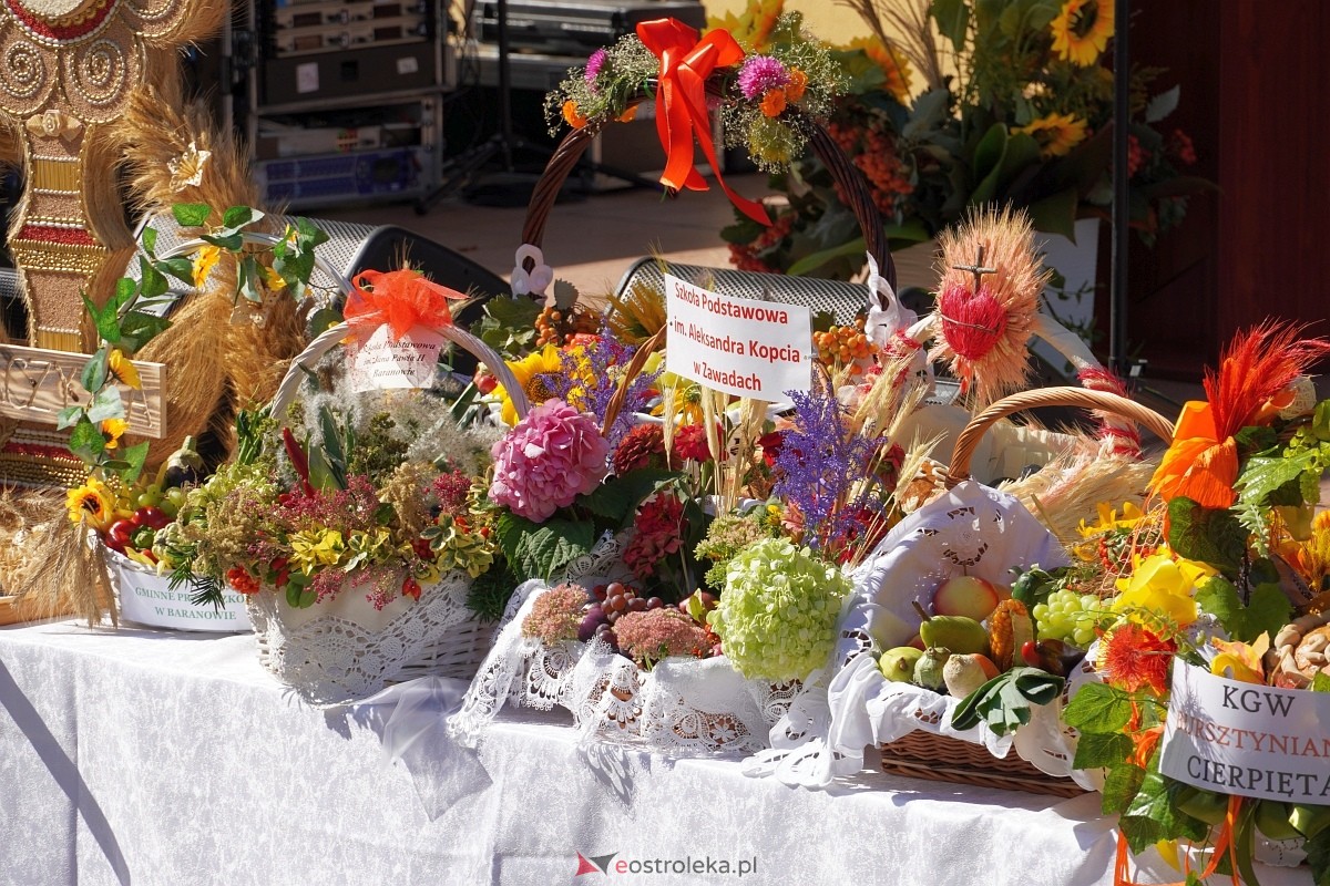 Dożynki w Baranowie [08.09.2024] - zdjęcie #212 - eOstroleka.pl