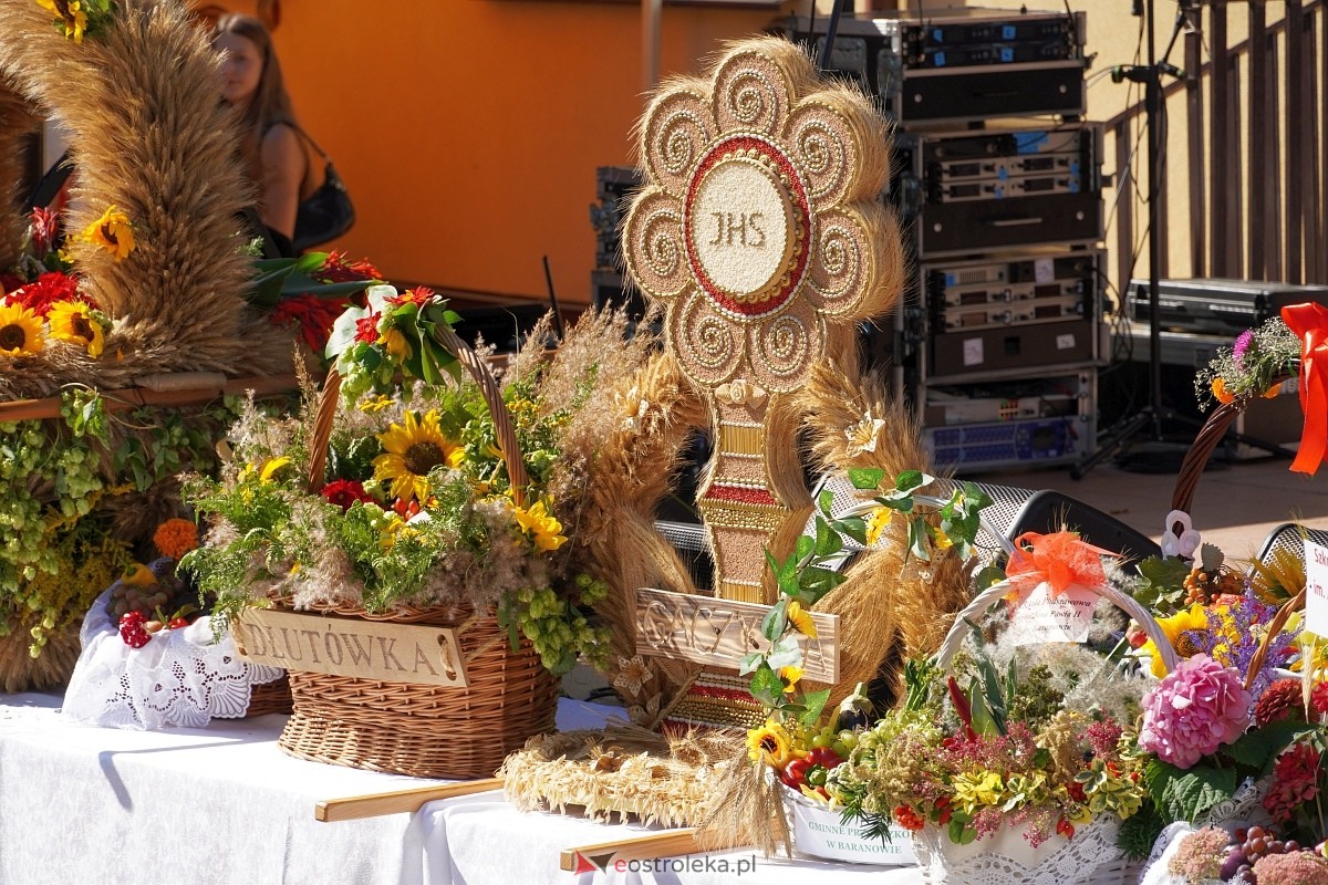 Dożynki w Baranowie [08.09.2024] - zdjęcie #211 - eOstroleka.pl