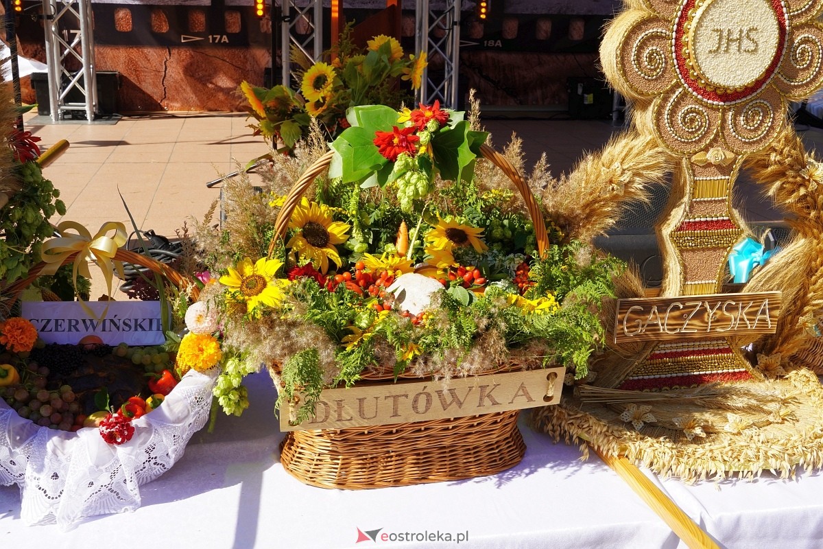 Dożynki w Baranowie [08.09.2024] - zdjęcie #197 - eOstroleka.pl