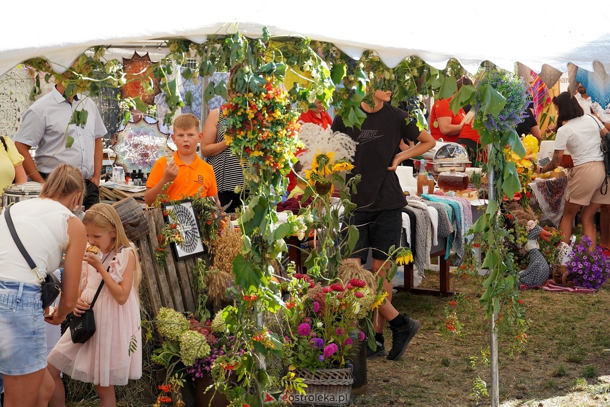 Dożynki w Baranowie [08.09.2024] - zdjęcie #14 - eOstroleka.pl