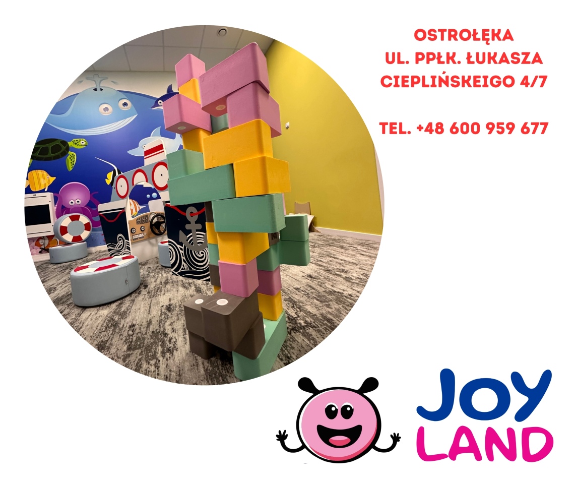 Dzień Chłopaka w sali zabaw Joy Land - zdjęcie #6 - eOstroleka.pl