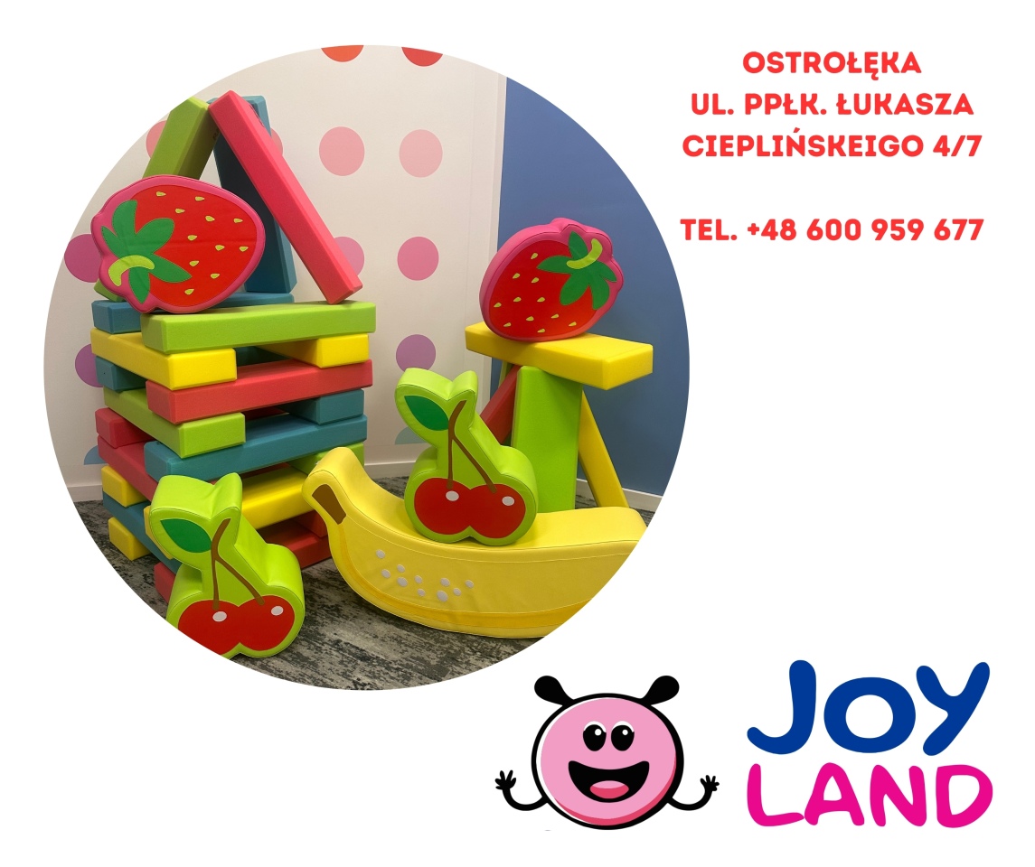 Dzień Chłopaka w sali zabaw Joy Land - zdjęcie #4 - eOstroleka.pl