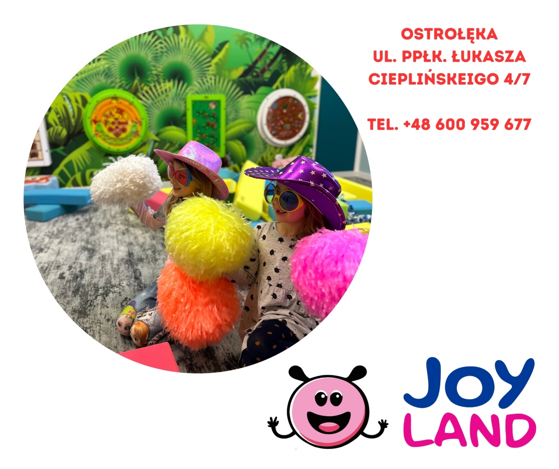 Dzień Chłopaka w sali zabaw Joy Land - zdjęcie #3 - eOstroleka.pl
