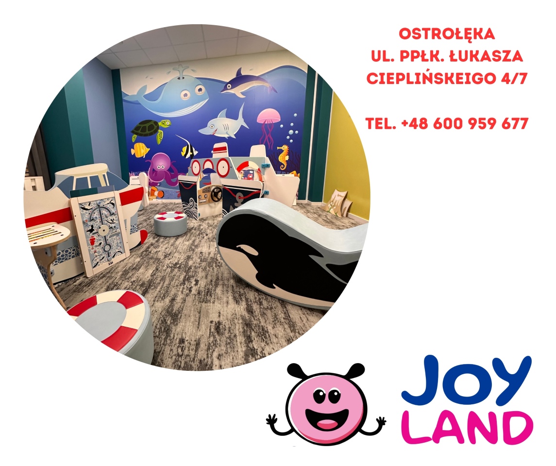 Dzień Chłopaka w sali zabaw Joy Land - zdjęcie #2 - eOstroleka.pl