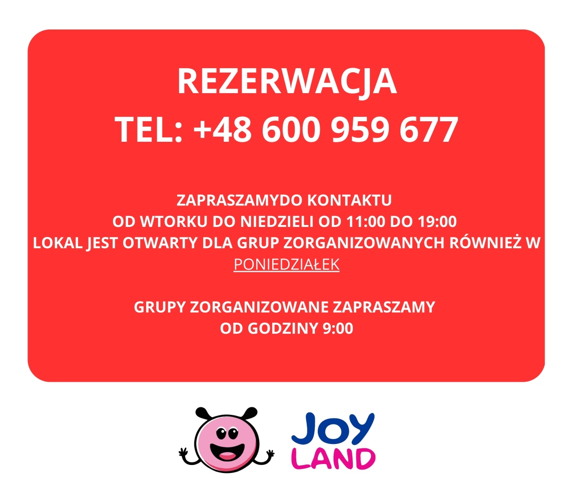 Dzień Chłopaka w sali zabaw Joy Land - zdjęcie #11 - eOstroleka.pl