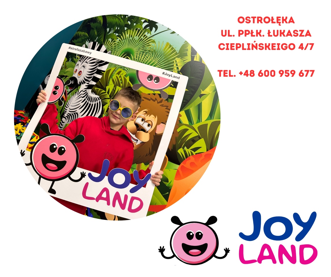 Dzień Chłopaka w sali zabaw Joy Land - zdjęcie #9 - eOstroleka.pl