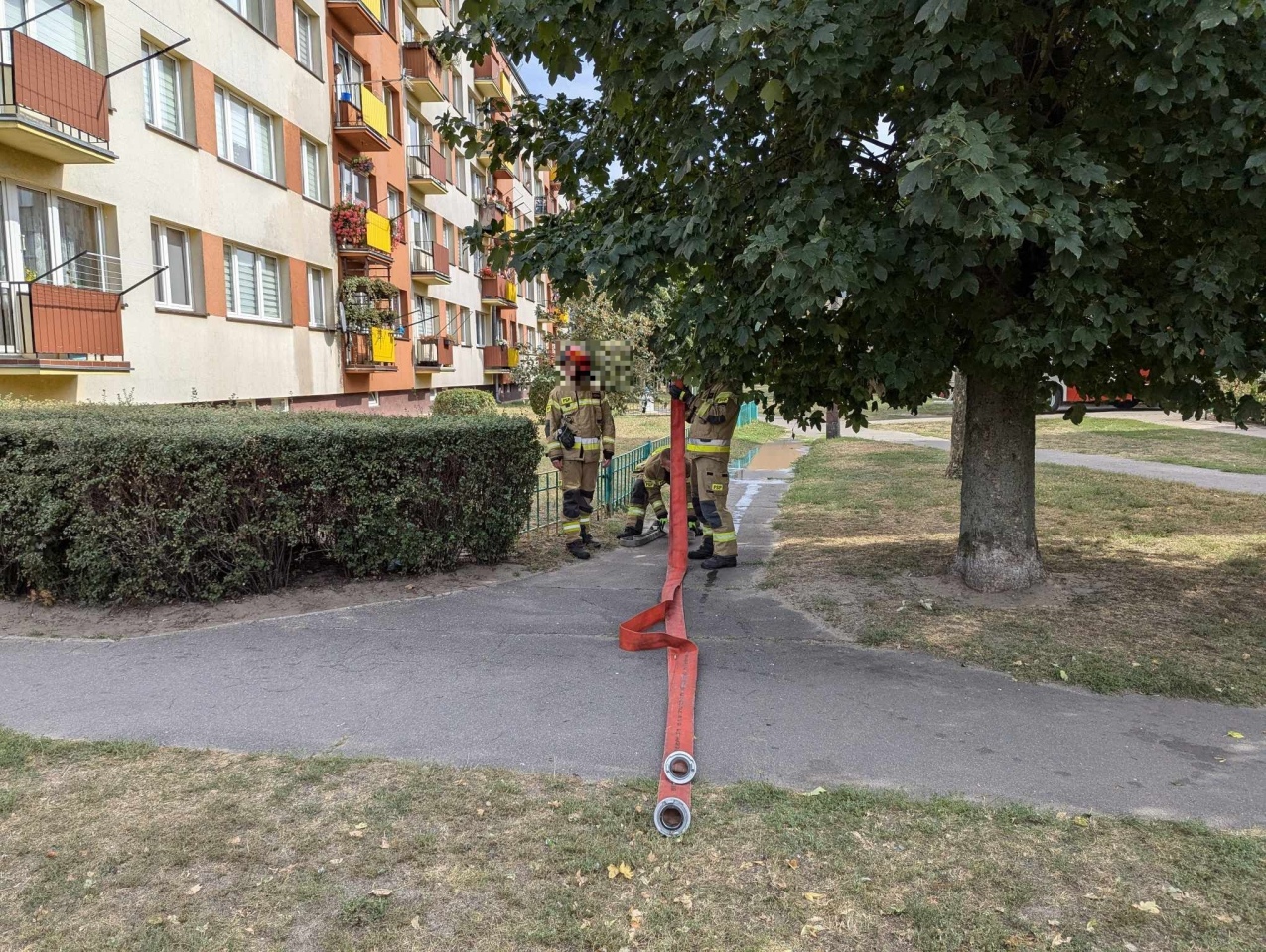 Pożar na balkonie przy ul. 11 Listopada w Ostrołęce [09.09.2024] - zdjęcie #6 - eOstroleka.pl