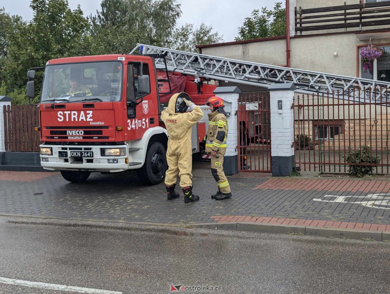 Usuwanie gniazda os przy ul. Kaczyńskiej w Ostrołęce [10.09.2024] - zdjęcie #29 - eOstroleka.pl