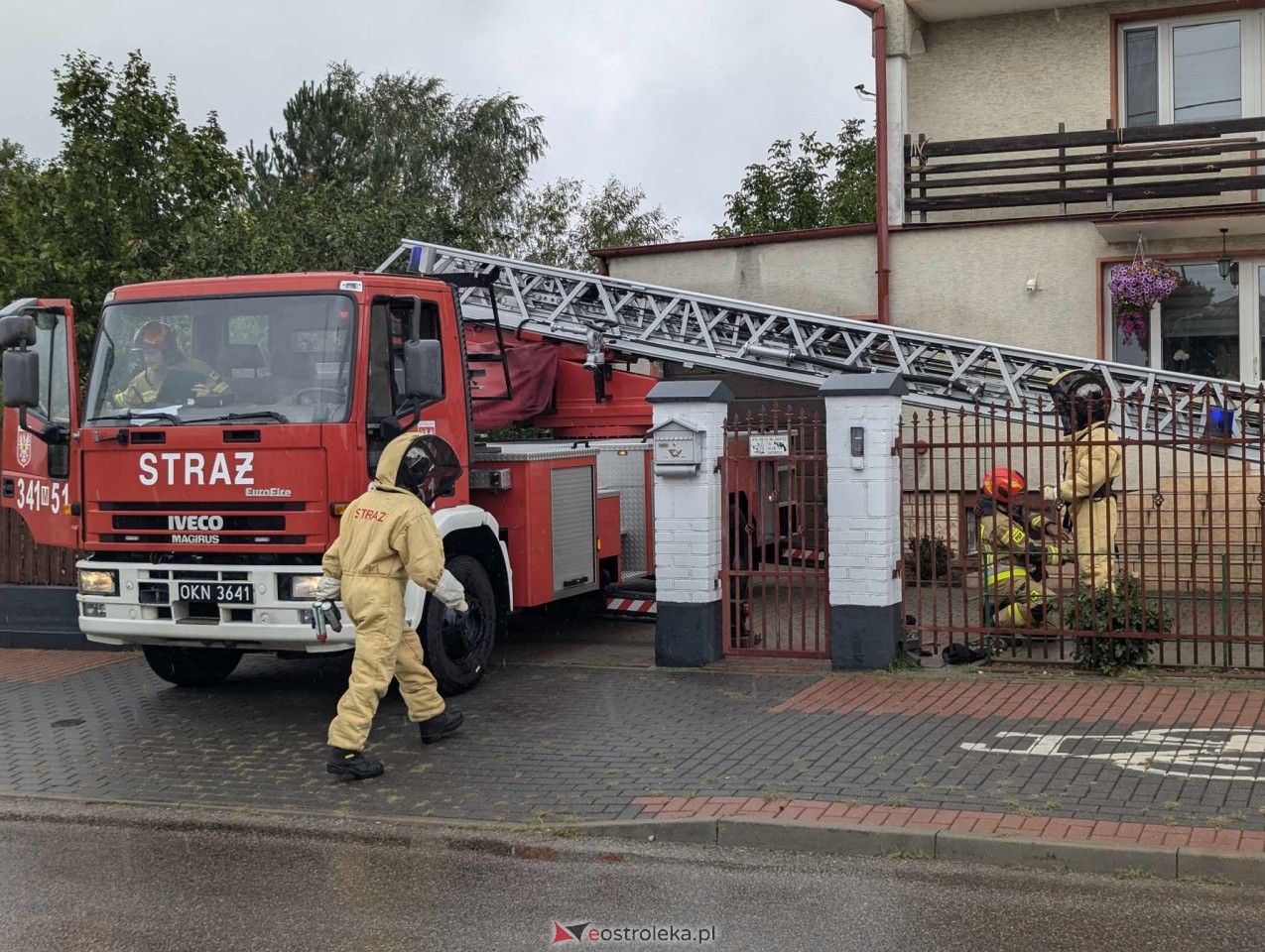 Usuwanie gniazda os przy ul. Kaczyńskiej w Ostrołęce [10.09.2024] - zdjęcie #20 - eOstroleka.pl