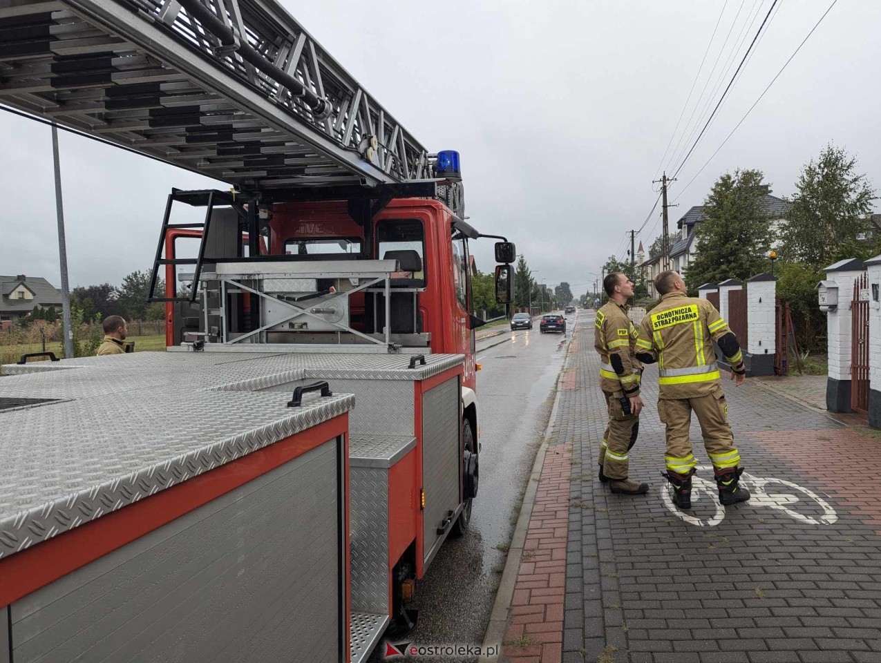 Usuwanie gniazda os przy ul. Kaczyńskiej w Ostrołęce [10.09.2024] - zdjęcie #17 - eOstroleka.pl