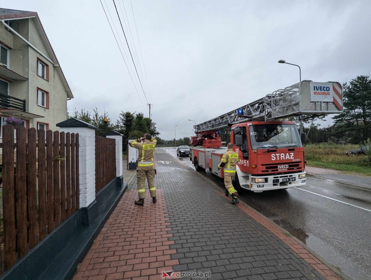 Usuwanie gniazda os przy ul. Kaczyńskiej w Ostrołęce [10.09.2024] - zdjęcie #16 - eOstroleka.pl