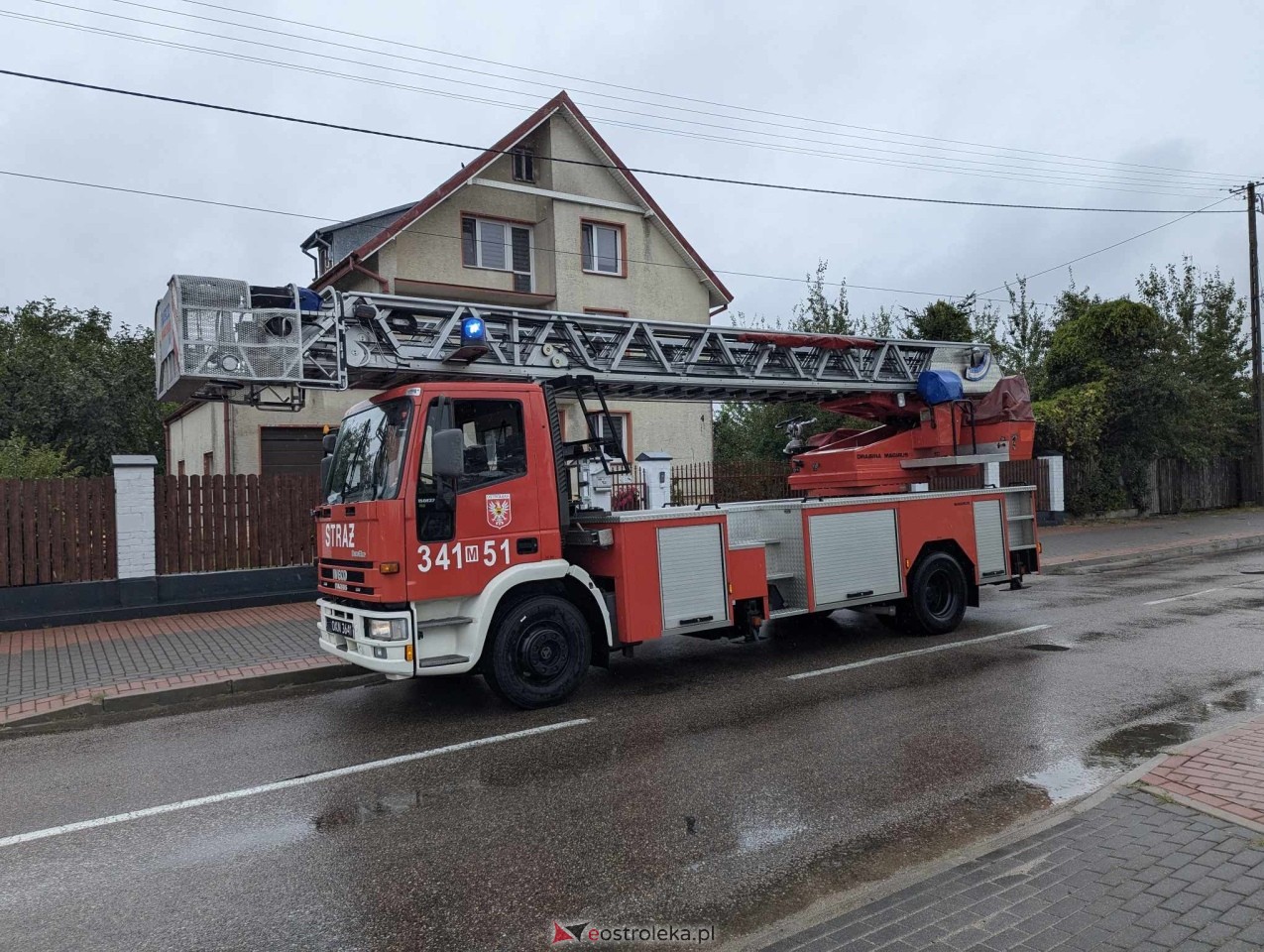 Usuwanie gniazda os przy ul. Kaczyńskiej w Ostrołęce [10.09.2024] - zdjęcie #10 - eOstroleka.pl