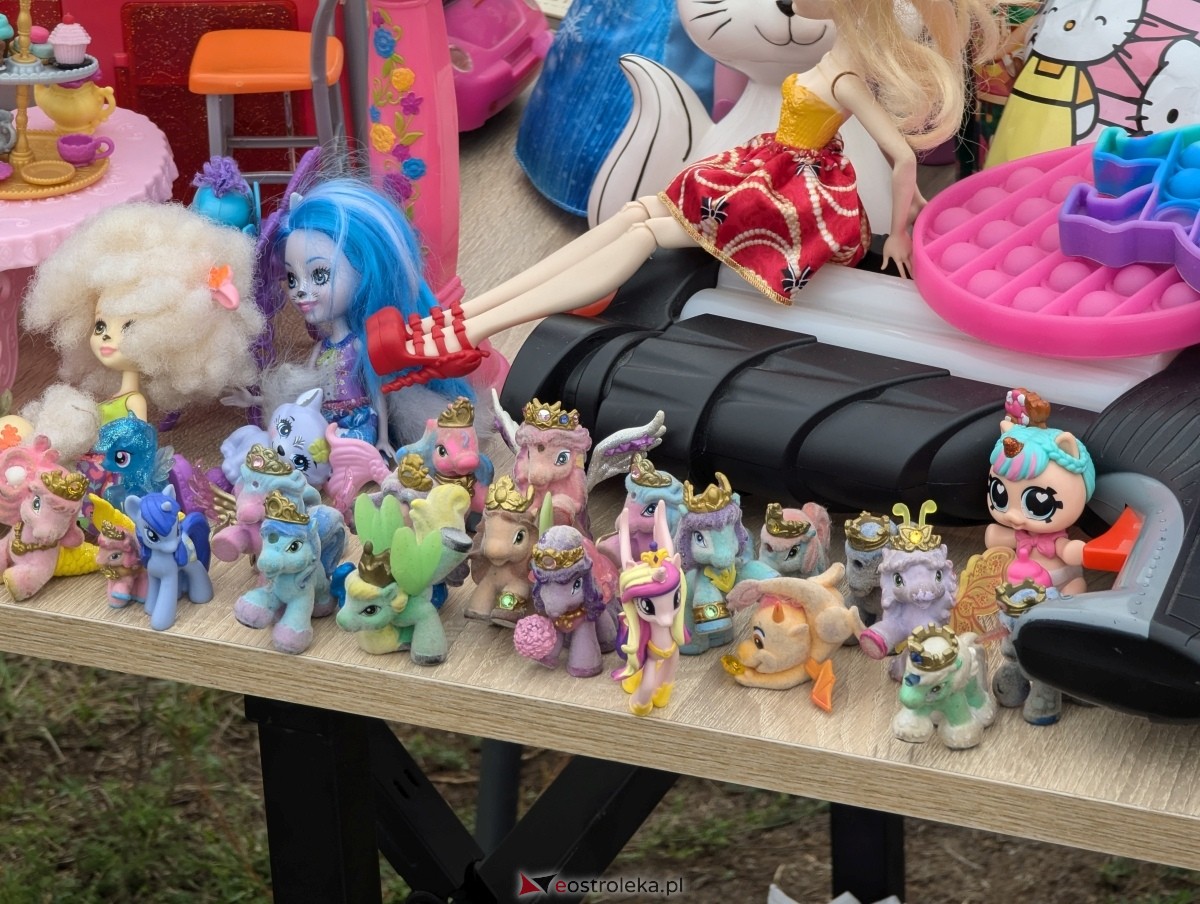 I dzbenińska wyprzedaż garażowa [14.09.2024] - zdjęcie #12 - eOstroleka.pl