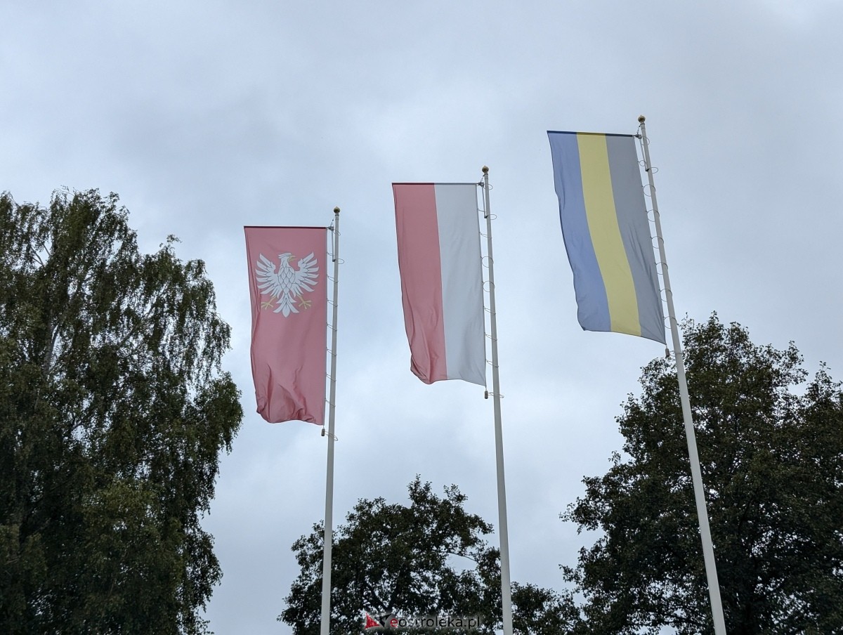 Z małą walizką w daleki świat. Szlakiem misia Wojtka [14.09.2024] - zdjęcie #11 - eOstroleka.pl