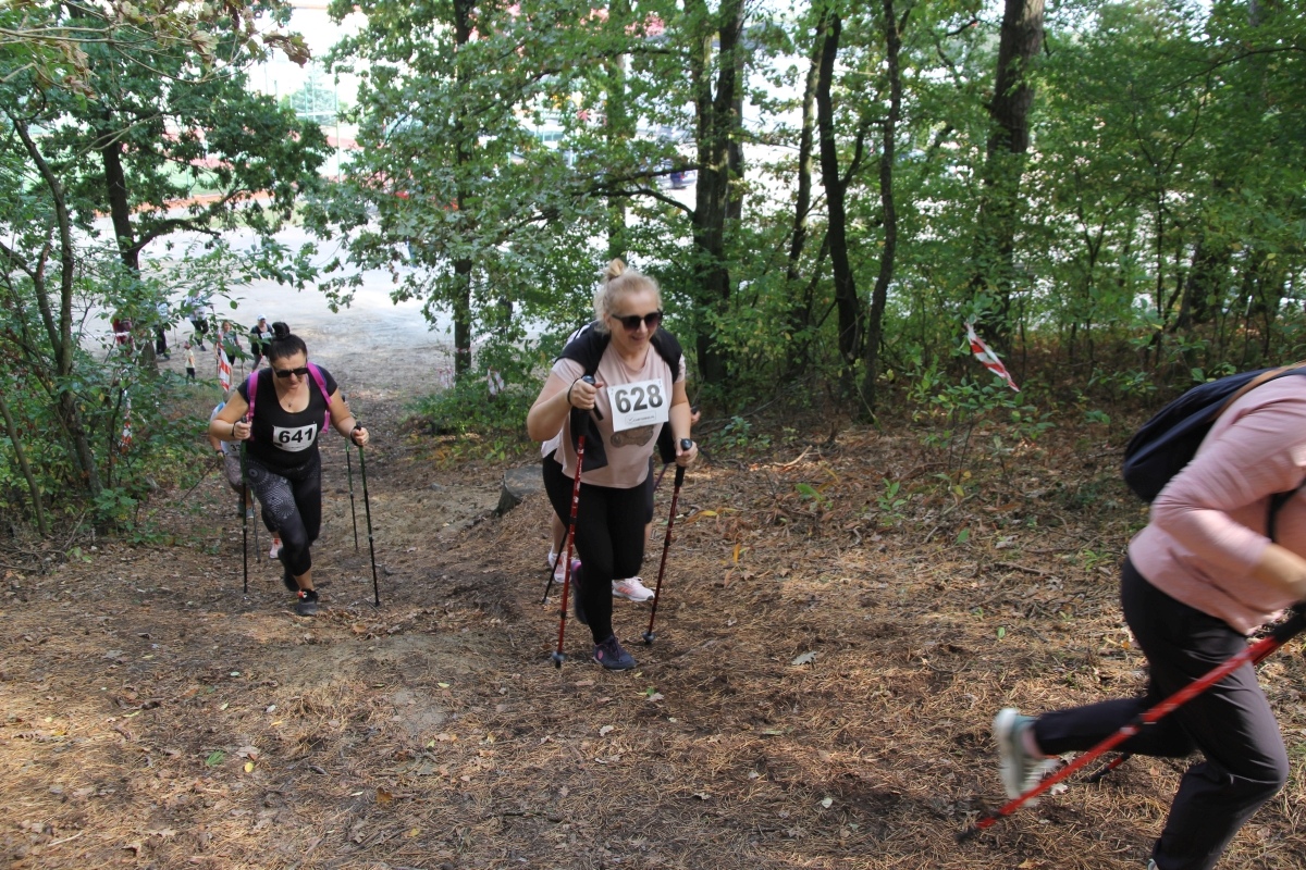 II Mistrzostwa Mazowsza ZNP w nordic walking [15.09.2024] - zdjęcie #10 - eOstroleka.pl