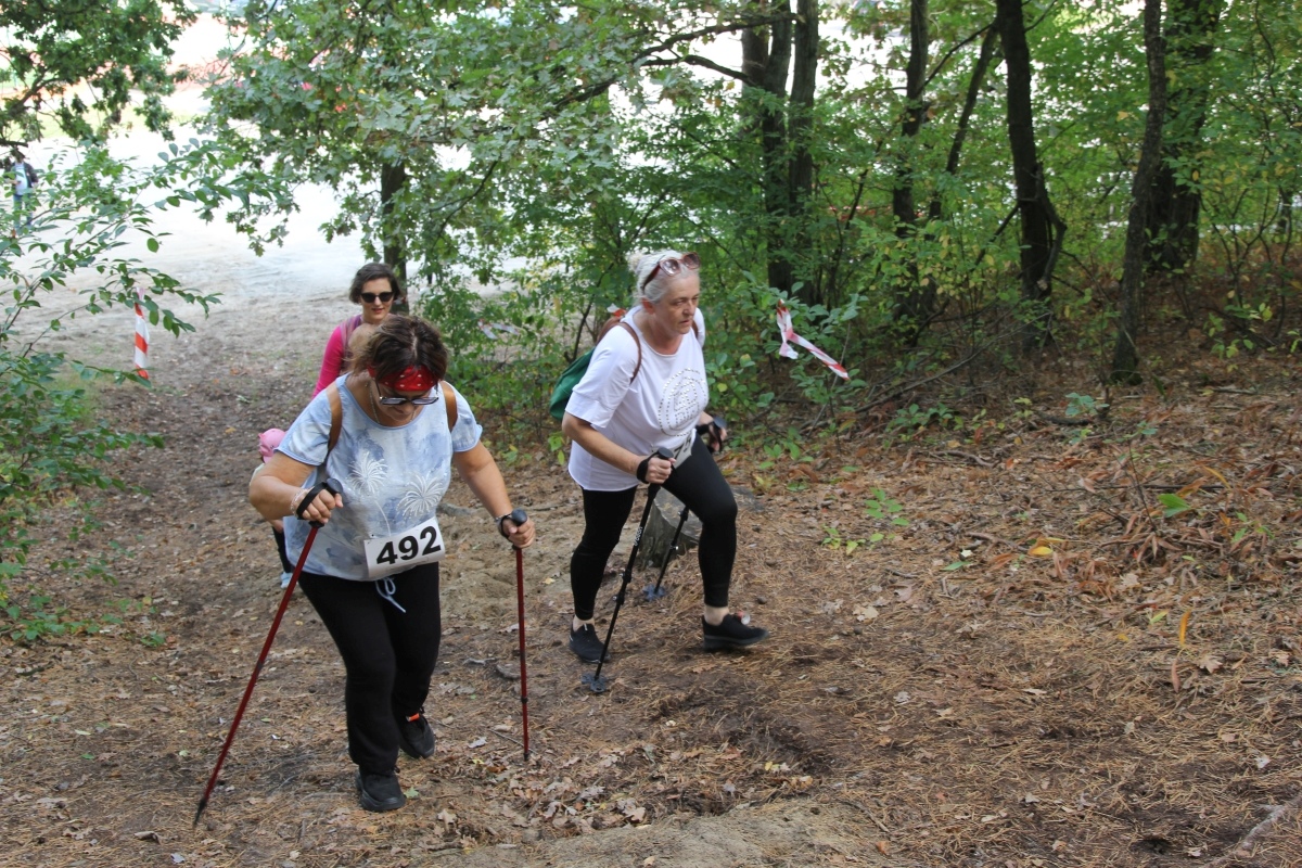 II Mistrzostwa Mazowsza ZNP w nordic walking [15.09.2024] - zdjęcie #2 - eOstroleka.pl