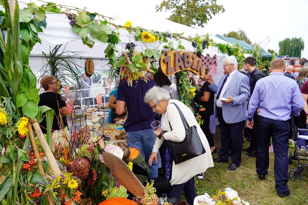 Dożynki w Goworowie [15.09.2024] - zdjęcie #62 - eOstroleka.pl