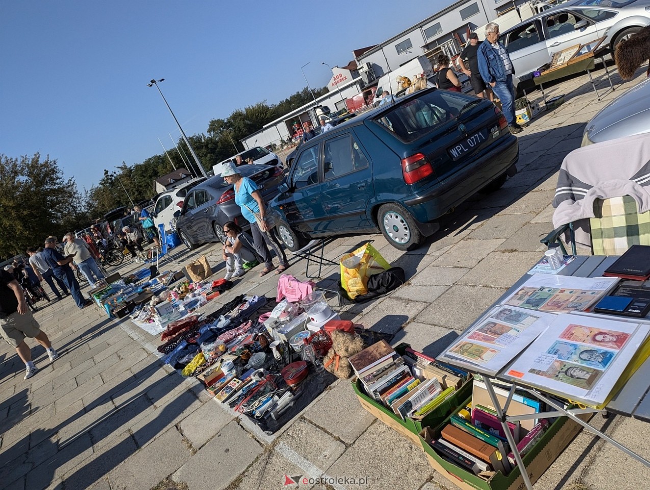 Pchli Targ w Ostrołęce [21.09.2024] - zdjęcie #35 - eOstroleka.pl