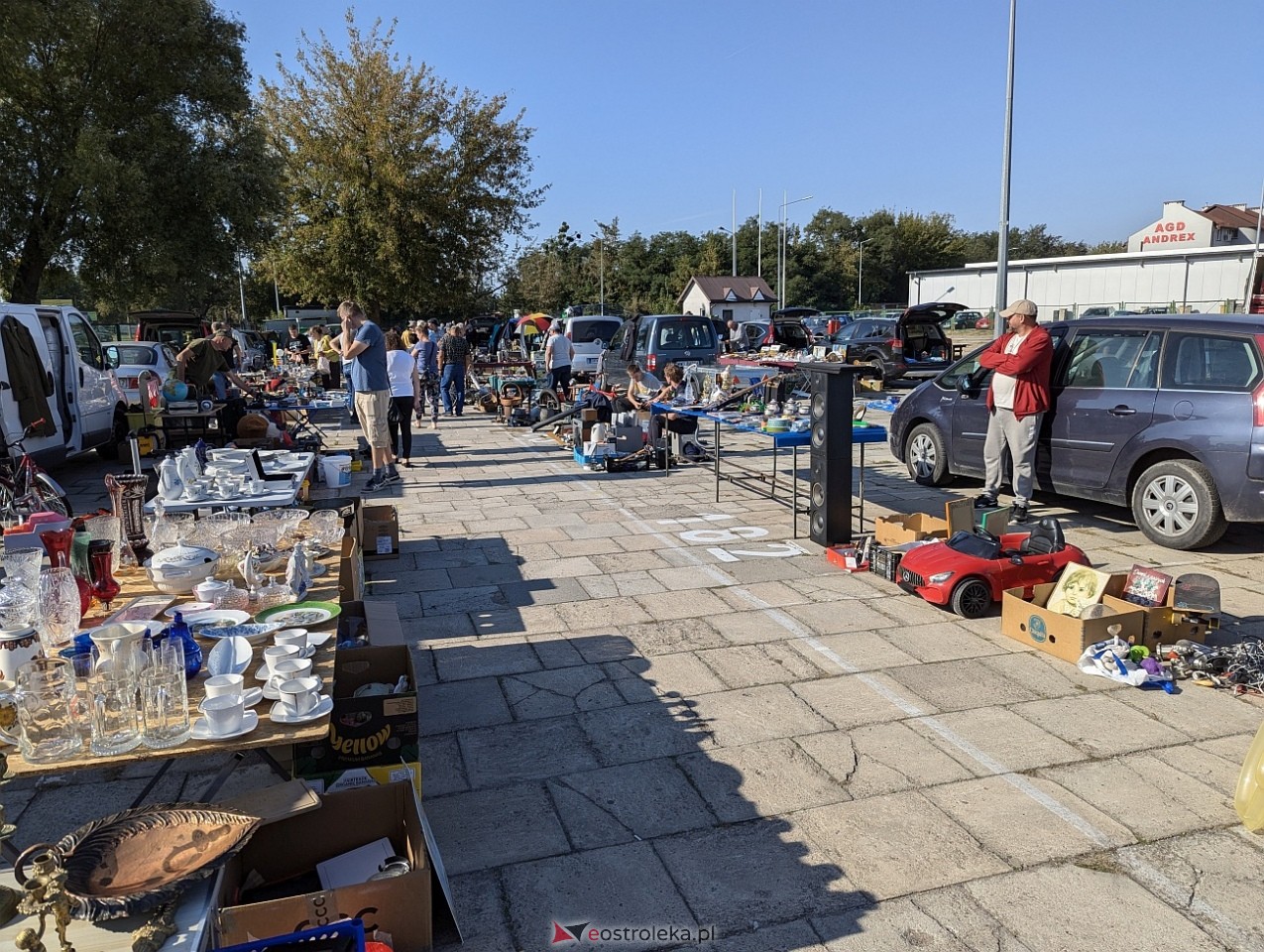 Pchli Targ w Ostrołęce [21.09.2024] - zdjęcie #26 - eOstroleka.pl